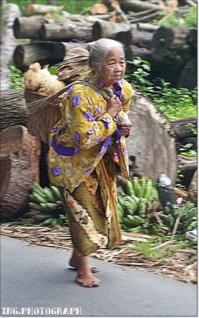 Si Nenek dan Keranjang nya (Tugas BWC #3)