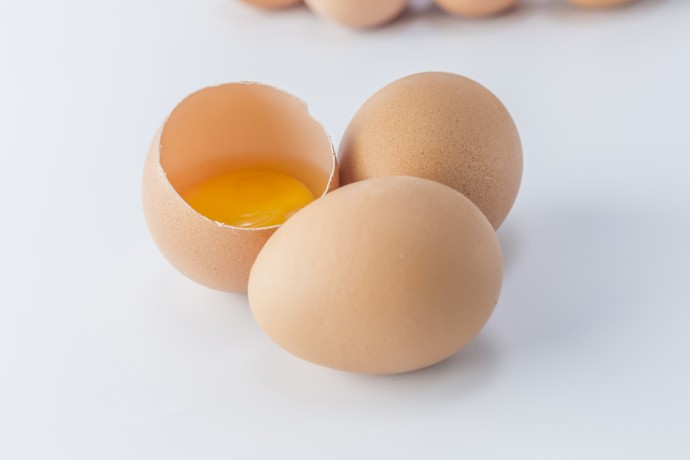 Telur Dadar