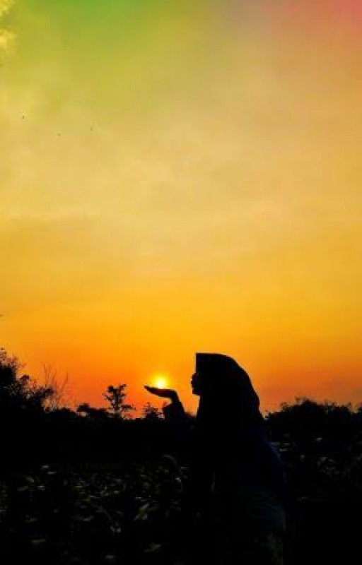 Senja